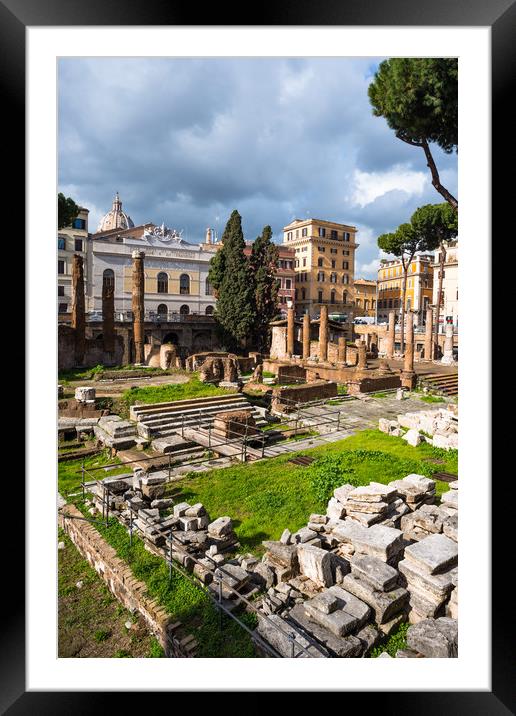 Largo di Torre Argentina  Framed Mounted Print by Andrew Michael