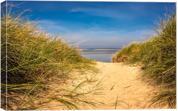Golden Sandy Dunes Canvas Print by Naylor's Photography