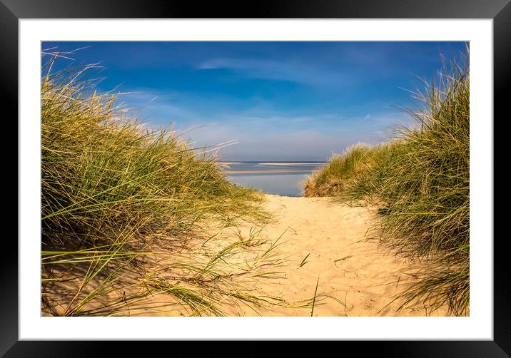 Golden Sandy Dunes Framed Mounted Print by Naylor's Photography
