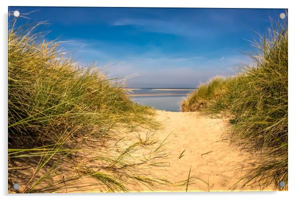 Golden Sandy Dunes Acrylic by Naylor's Photography