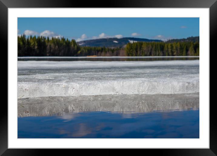 Spring in Sweden Framed Mounted Print by Hamperium Photography