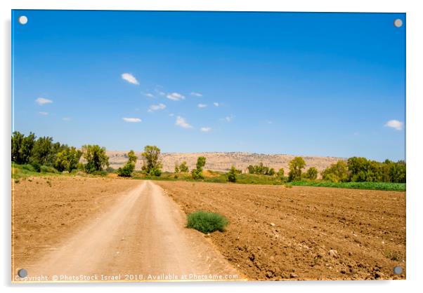 ploughed fields  Acrylic by PhotoStock Israel