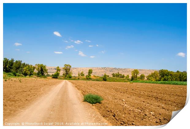 ploughed fields  Print by PhotoStock Israel