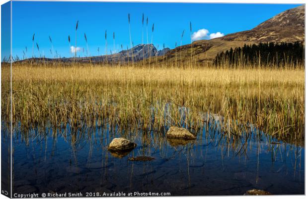 Loch Cill Chriosd and Blaven #2 Canvas Print by Richard Smith