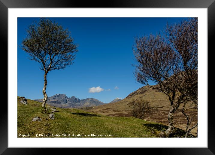 Blaven seen between some silver birch. Framed Mounted Print by Richard Smith