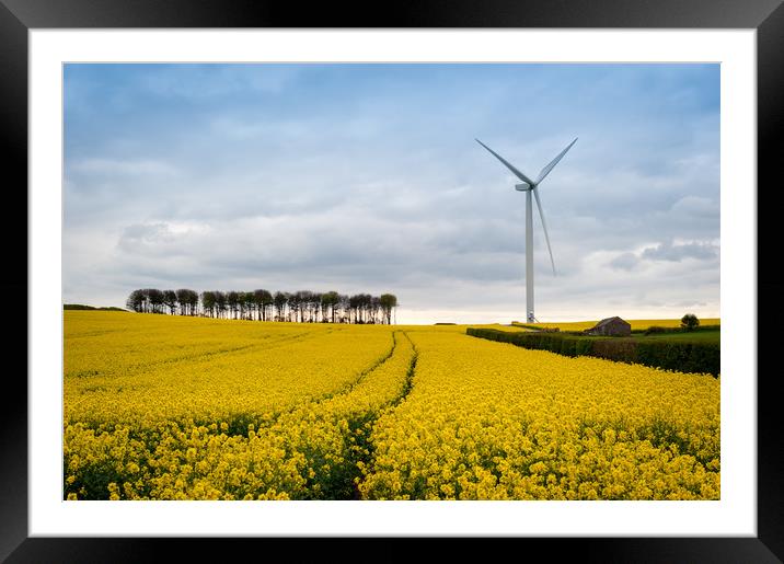 Yellow Harvest Framed Mounted Print by Richard Downs
