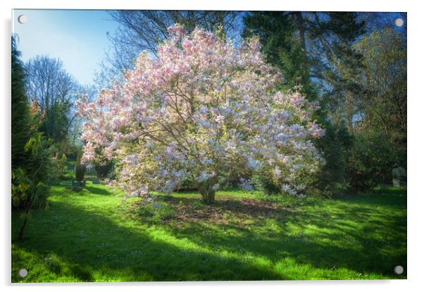 Magnolia Acrylic by Richard Downs