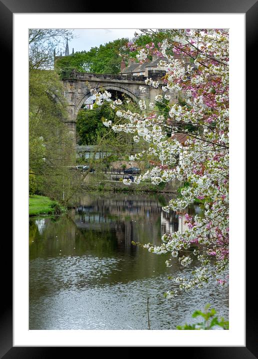 Knaresborough Viaduct with blossom Framed Mounted Print by mike morley