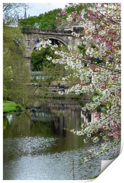 Knaresborough Viaduct with blossom Print by mike morley