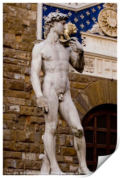 The statue of David  Print by PhotoStock Israel