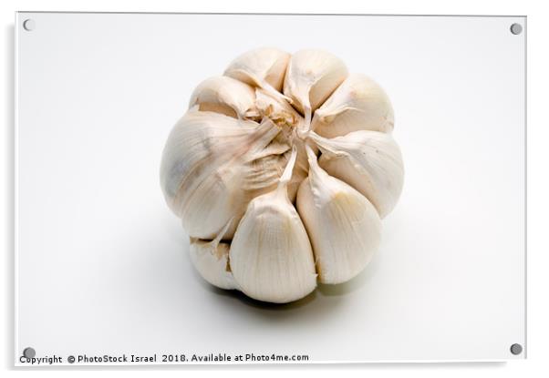 Garlic bulb and cloves Acrylic by PhotoStock Israel