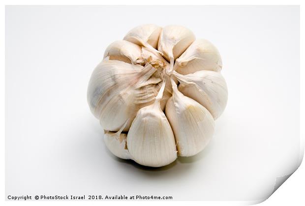 Garlic bulb and cloves Print by PhotoStock Israel
