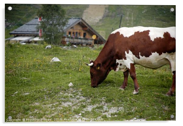 Gosau in the Dachstein Mountains Acrylic by PhotoStock Israel