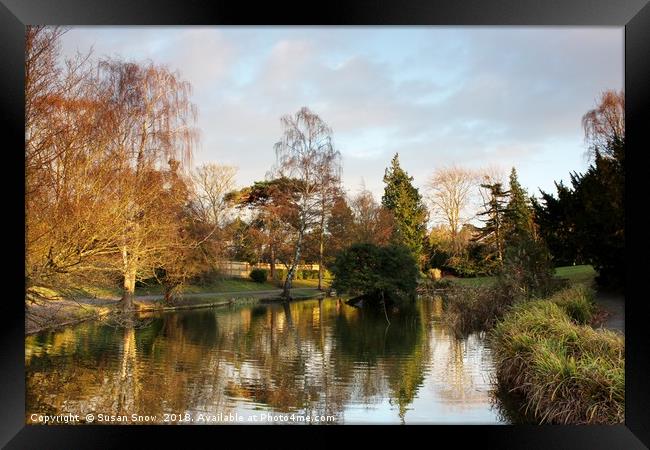 The Lake at Hatherley Park Cheltenham Framed Print by Susan Snow