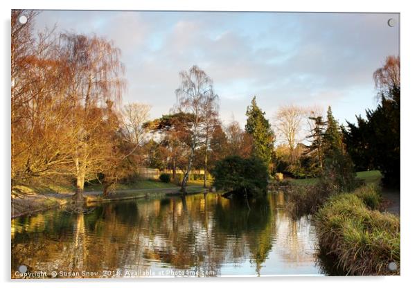 The Lake at Hatherley Park Cheltenham Acrylic by Susan Snow