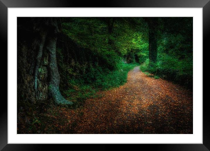 Golden Autumn lane  Framed Mounted Print by Leighton Collins