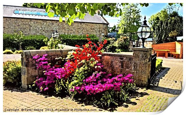 Eglinton Country Park in full Bloom Print by Peter Gaeng