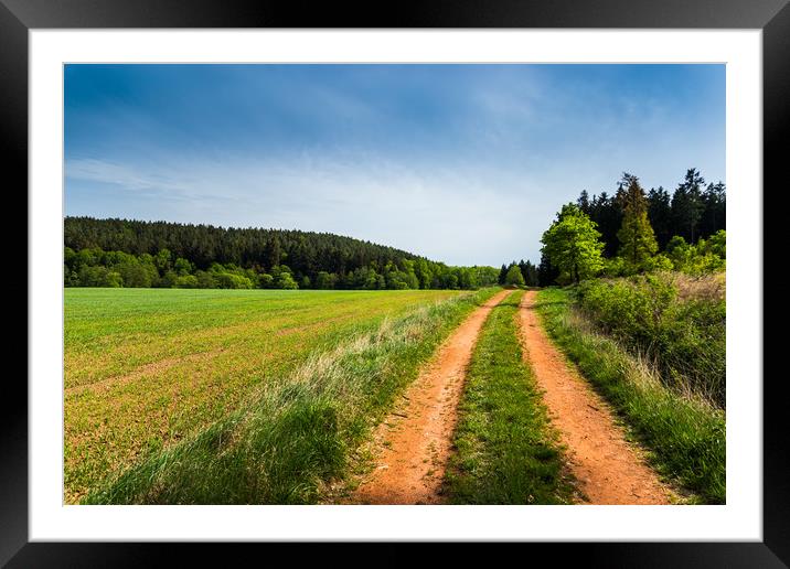 Countryside road in summer field. Framed Mounted Print by Sergey Fedoskin