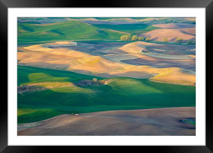 Painted Hills of Palouse, Southeastern Washington Framed Mounted Print by David Roossien