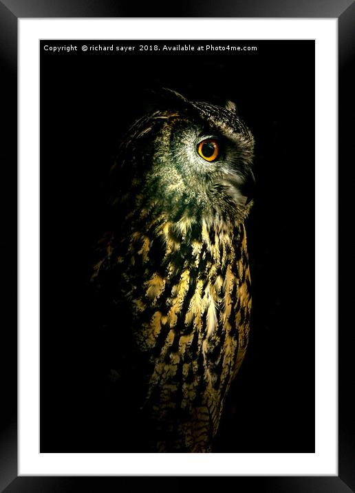 Eagle Owl Portrait Framed Mounted Print by richard sayer