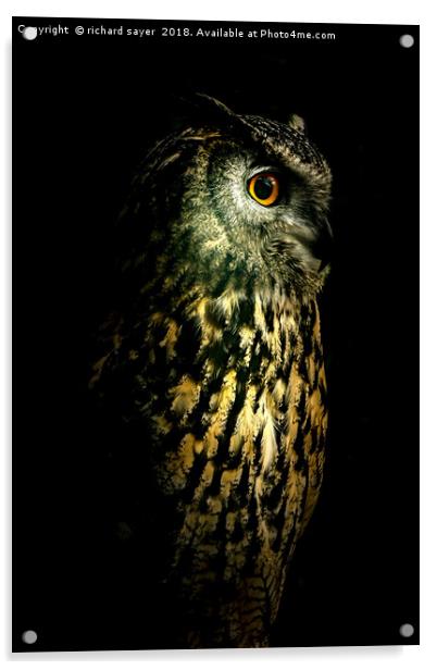 Eagle Owl Portrait Acrylic by richard sayer