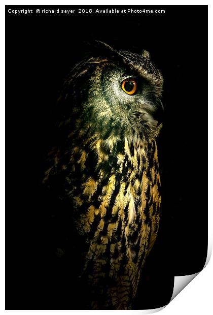 Eagle Owl Portrait Print by richard sayer