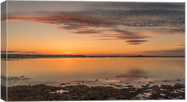 Northumberland Beauty Canvas Print by Naylor's Photography