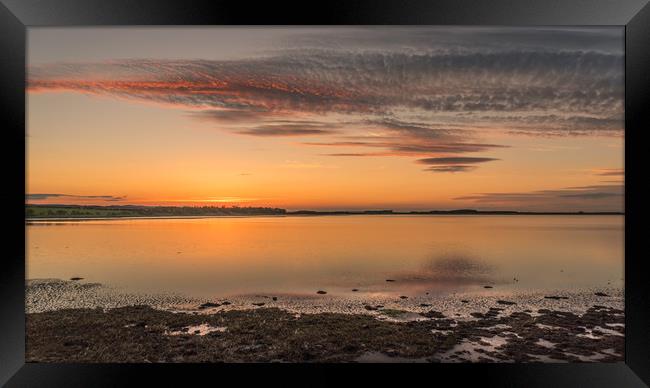 Northumberland Beauty Framed Print by Naylor's Photography