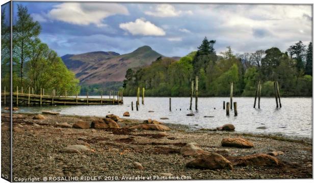 "Derwentwater groynes and jetty 2" Canvas Print by ROS RIDLEY