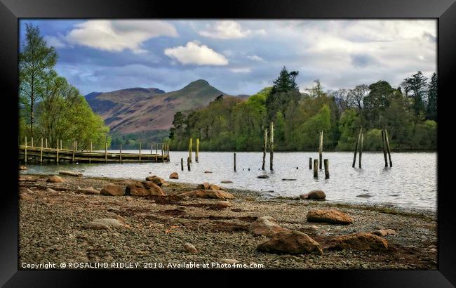 "Derwentwater groynes and jetty 2" Framed Print by ROS RIDLEY