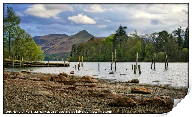 "Derwentwater groynes and jetty 2" Print by ROS RIDLEY