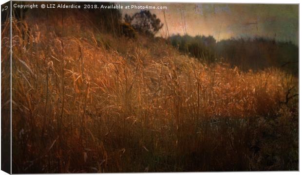 River Bank Reeds Canvas Print by LIZ Alderdice