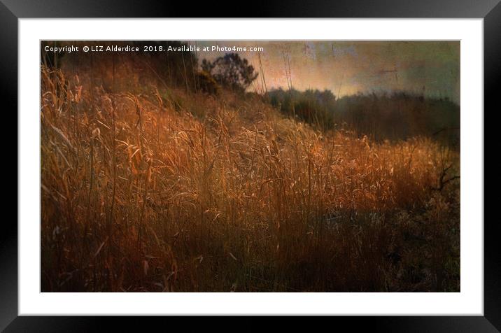 River Bank Reeds Framed Mounted Print by LIZ Alderdice