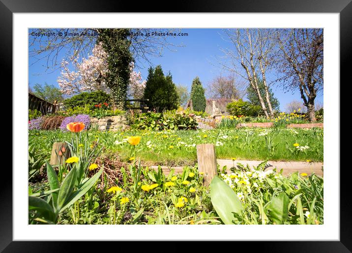 Spring Garden Framed Mounted Print by Simon Annable