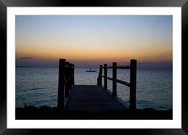 Sunset Swim Framed Mounted Print by Malcolm Smith
