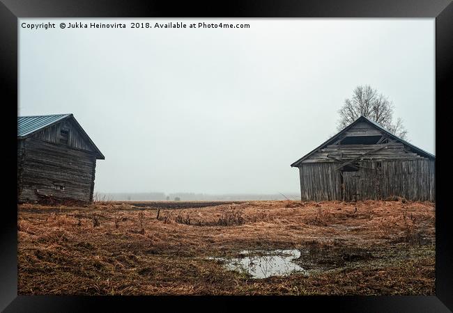 Two Old Barn Houses On The Rainy Fields Framed Print by Jukka Heinovirta