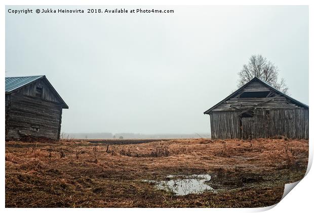 Two Old Barn Houses On The Rainy Fields Print by Jukka Heinovirta