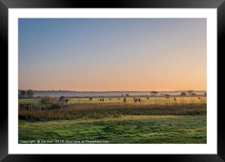 Sunrise on a herd of Belties Framed Mounted Print by Jim Key