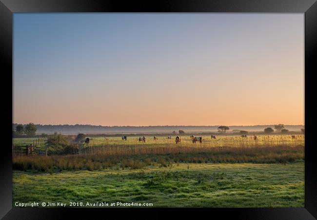 Sunrise on a herd of Belties Framed Print by Jim Key