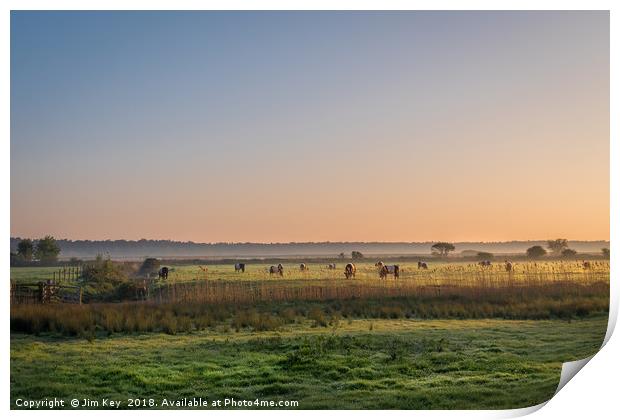 Sunrise on a herd of Belties Print by Jim Key