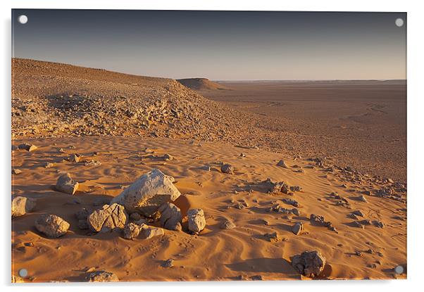 Saudi Arabian desert Acrylic by Simon Curtis