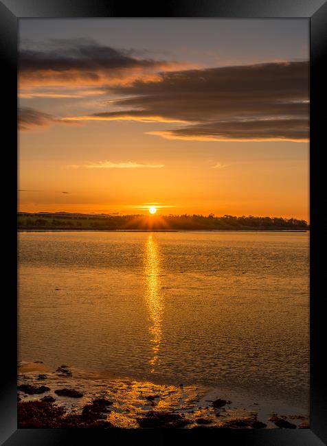 Photos of Northumberland - Budle Bay Framed Print by Naylor's Photography