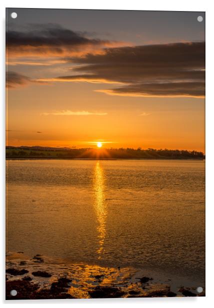 Photos of Northumberland - Budle Bay Acrylic by Naylor's Photography