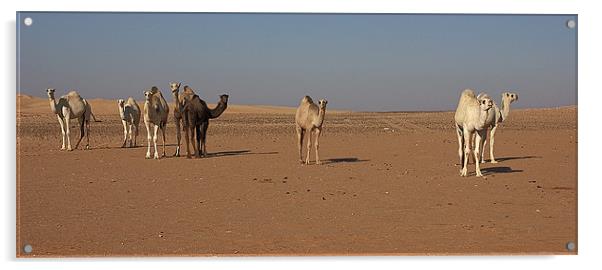 Camel Trail Acrylic by Simon Curtis