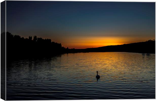 Lone Swan at Sunset Canvas Print by Mal Spain