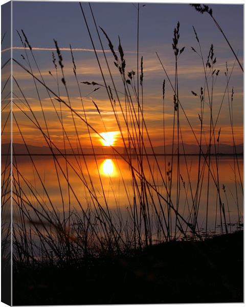 Sunset of gold Canvas Print by james sanderson