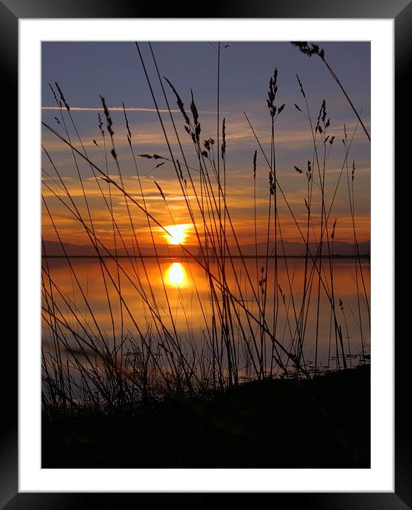 Sunset of gold Framed Mounted Print by james sanderson