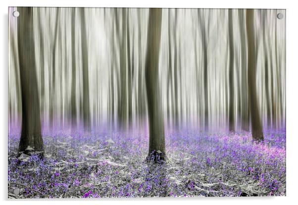 Bluebell Woods Acrylic by Graham Custance