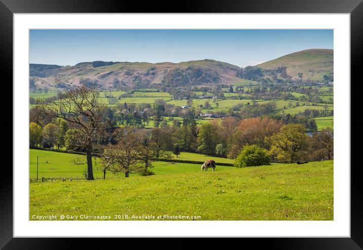 The Ullswater Sheep Framed Mounted Print by Gary Clarricoates