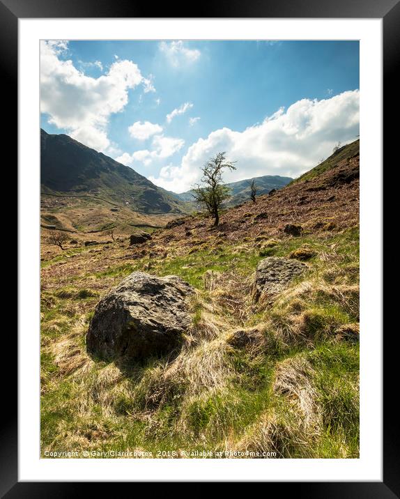A Haweswater Tree Framed Mounted Print by Gary Clarricoates